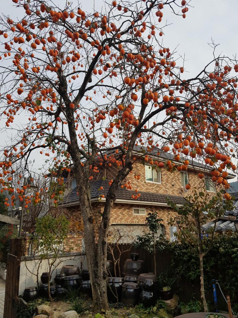 Hanok Story Guesthouse Jeonju Exterior photo